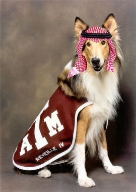 Is Texas A&M A Threat To National Security?